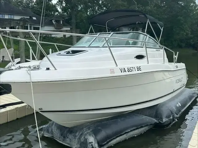 Robalo 22