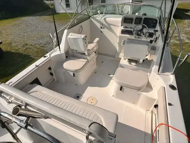 Robalo 22