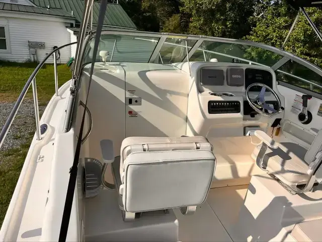 Robalo 22