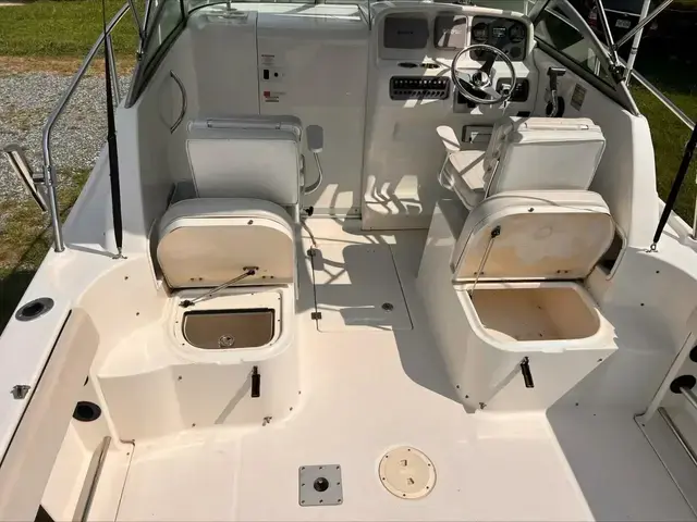 Robalo 22