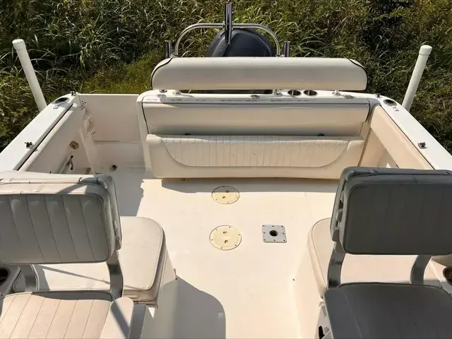 Robalo 22