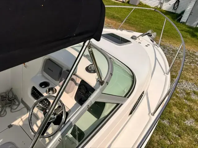 Robalo 22