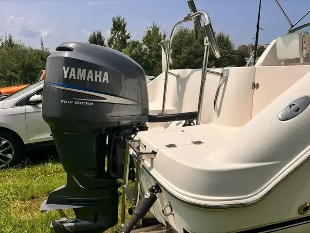 Robalo 22