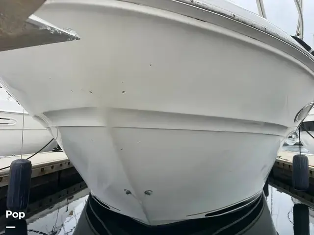 Sea Ray 370 Aft Cabin