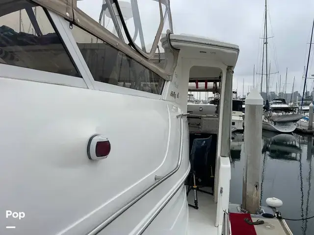 Sea Ray 370 Aft Cabin