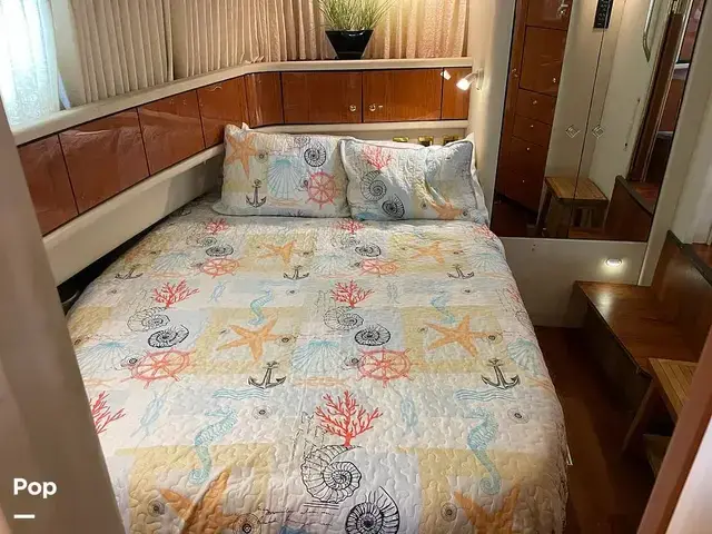 Sea Ray 370 Aft Cabin