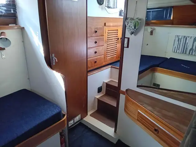 Broom 35 European