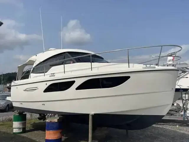 Rodman Spirit 31