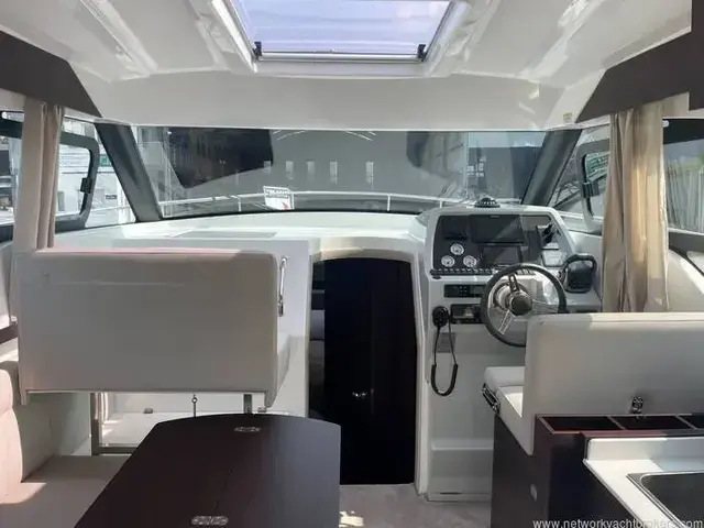 Rodman Spirit 31