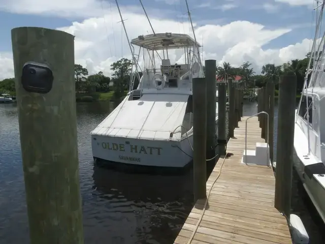 Hatteras Convertible