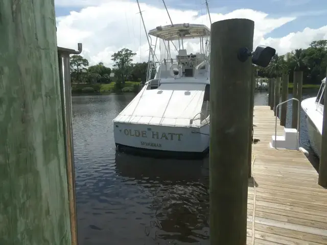 Hatteras Convertible