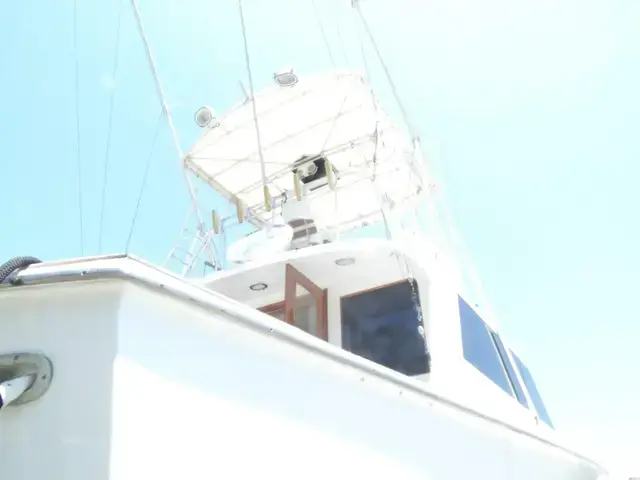 Hatteras Convertible