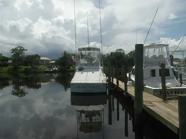 Hatteras Convertible