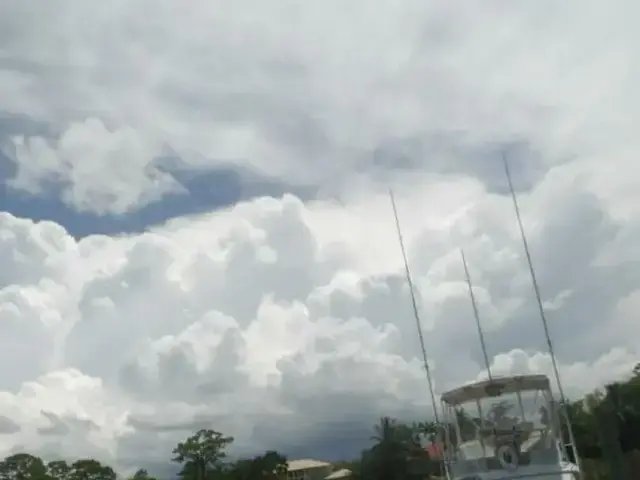 Hatteras Convertible