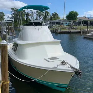 1973 Bertram 31 Flybridge Cruiser