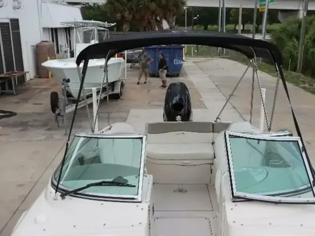 Sea Ray 240 Sundeck