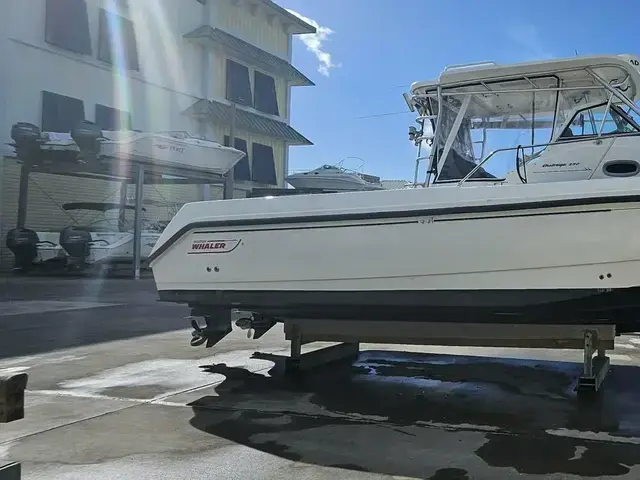 Boston Whaler 290 Outrage