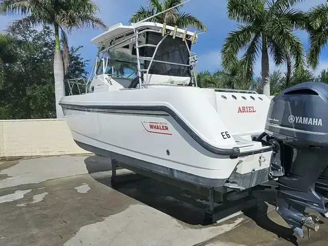 Boston Whaler 290 Outrage