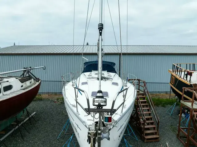 Bavaria 39 Cruiser