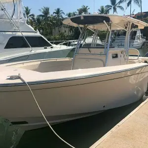 2006 Grady-White 306 Bimini