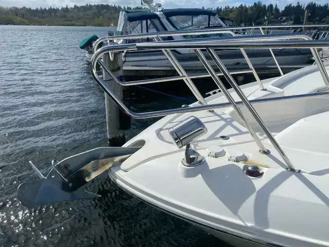 Sea Ray Sundancer 350 Coupe