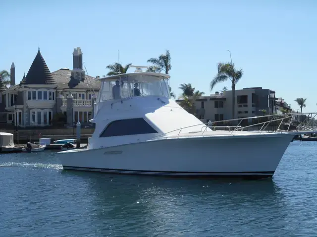 Ocean 44'