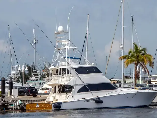 Viking 74'