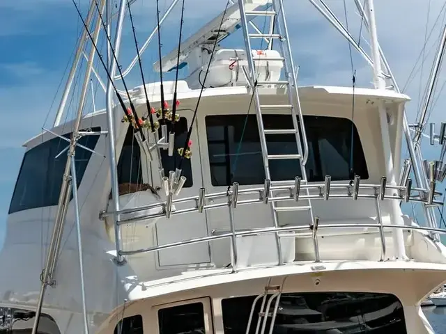 Viking 74'