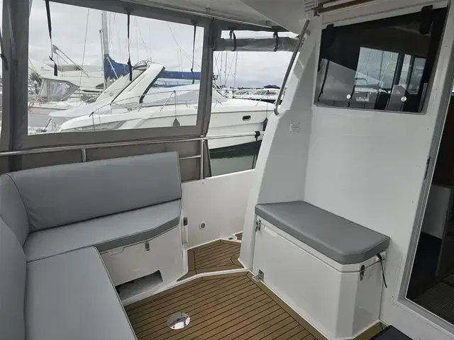 Sargo 33