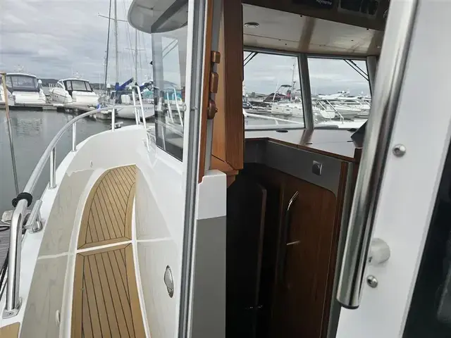 Sargo 33