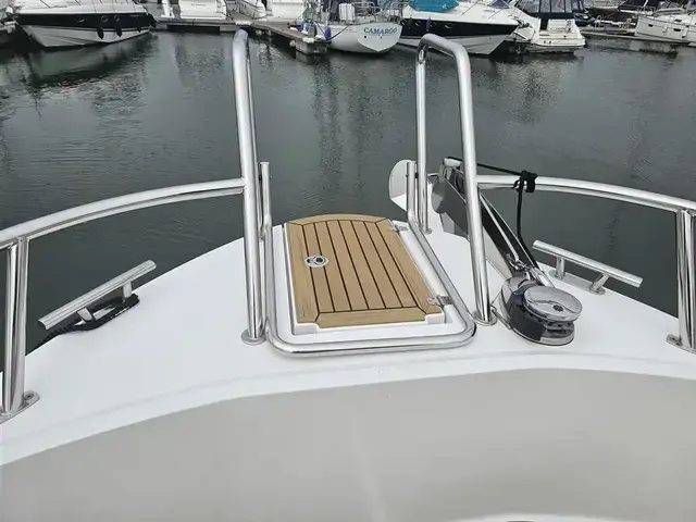 Sargo 33