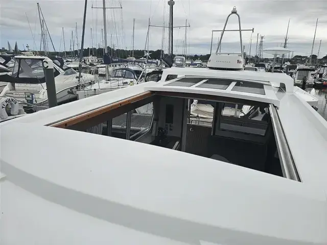 Sargo 33