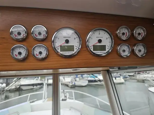 Sargo 33