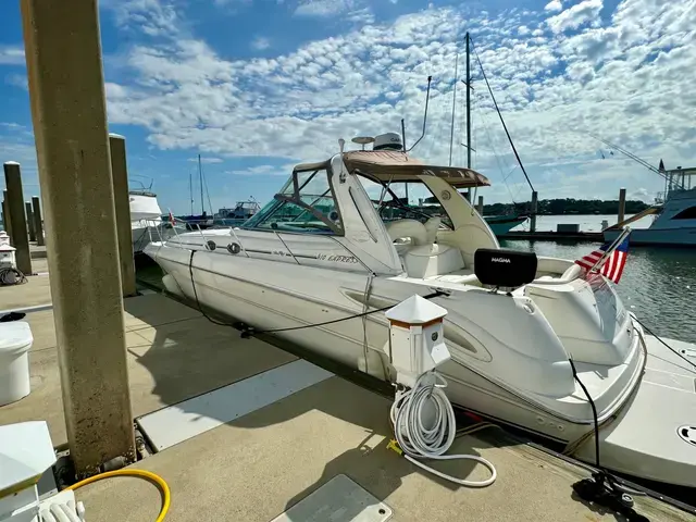 Sea Ray 41'