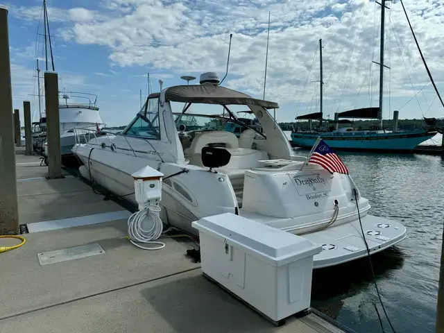 Sea Ray 41'