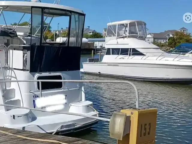 Mainship Boats 37 Motor Yacht