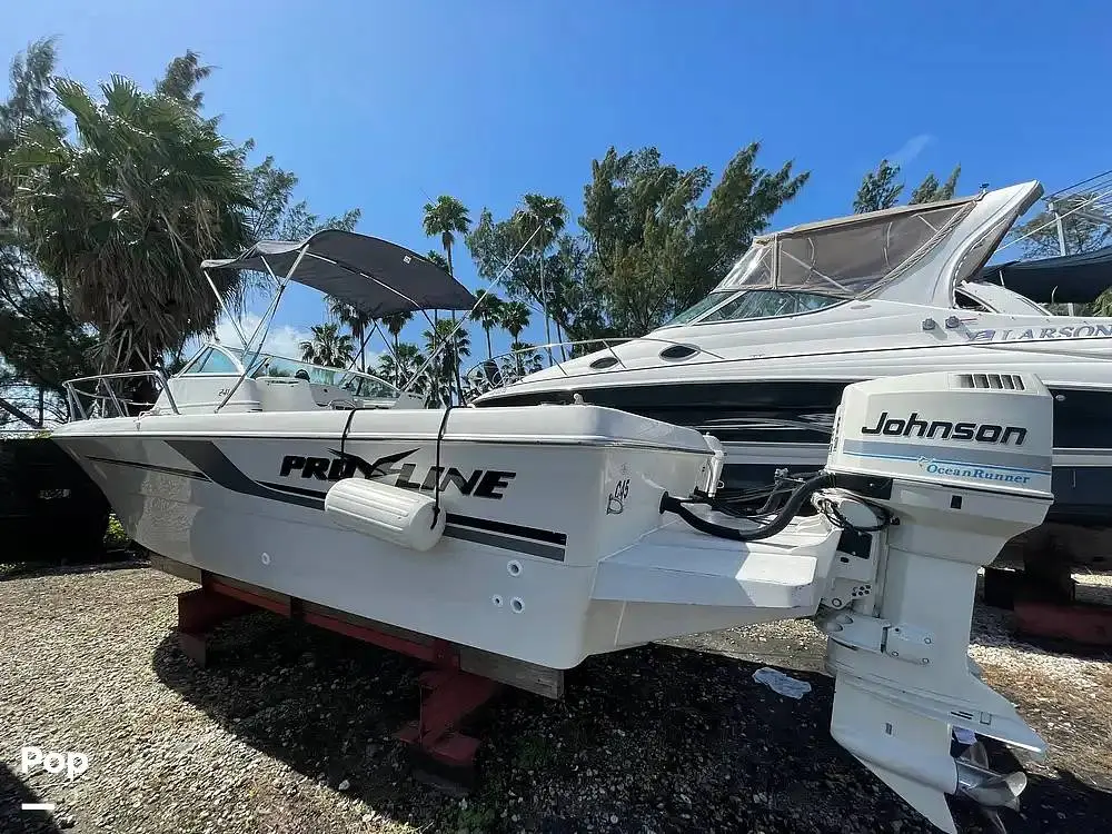 1998 Johnson 241 walkaround