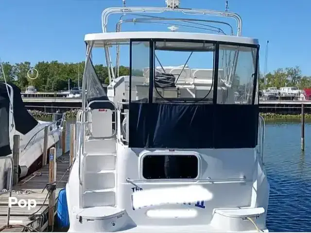 Mainship Boats 37 Motor Yacht