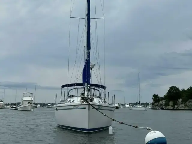 Catalina 320