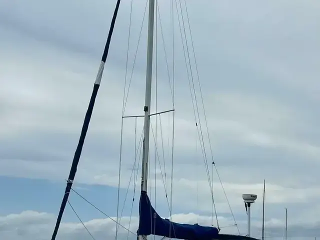 Catalina 320