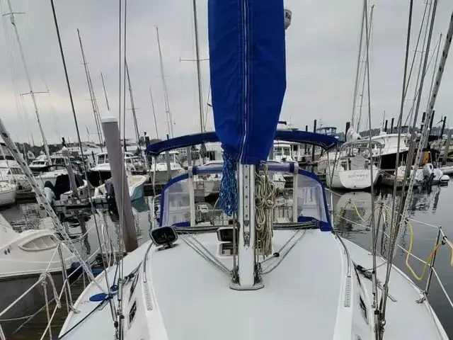 Catalina 320