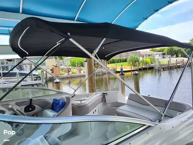 Sea Ray 240 Sundeck