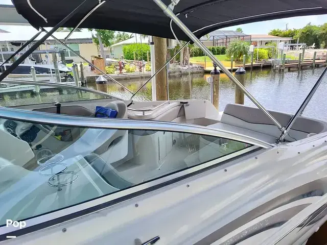 Sea Ray 240 Sundeck