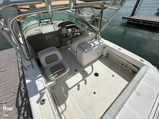 Sea Ray 290 Amberjack