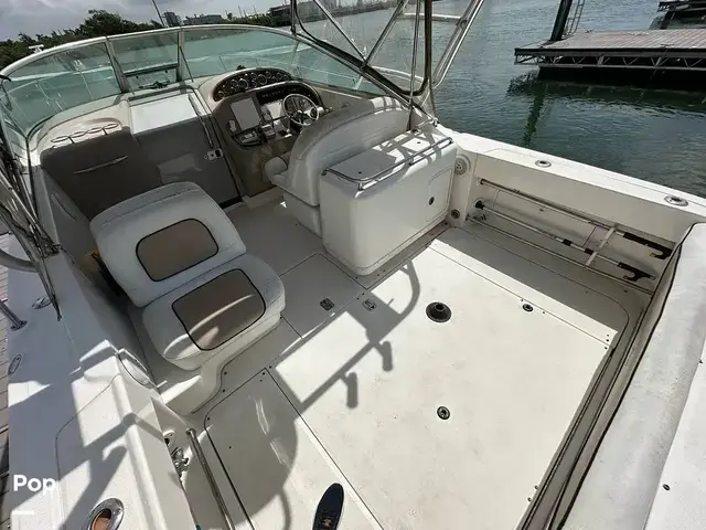 Sea Ray 290 Amberjack