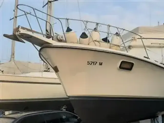 Carver 36 Aft Cabin Motoryacht