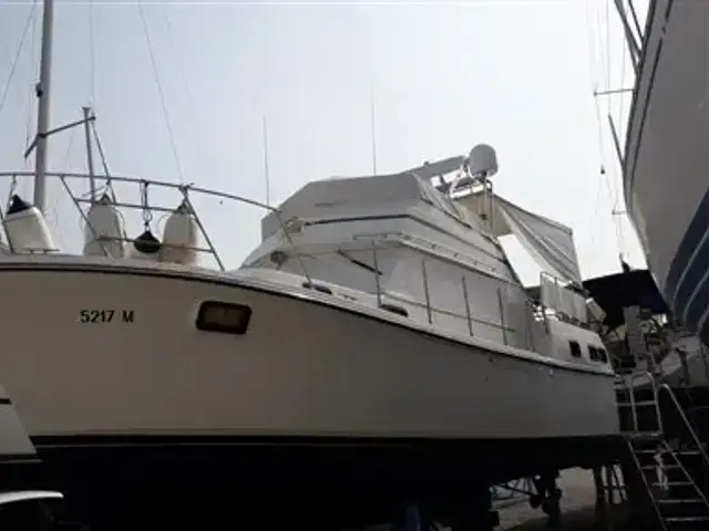 Carver 36 Aft Cabin Motoryacht