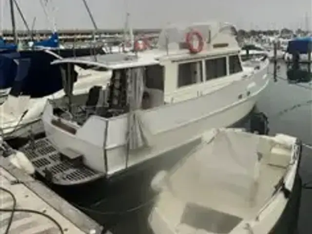 American International Marine GRAND BANKS 32