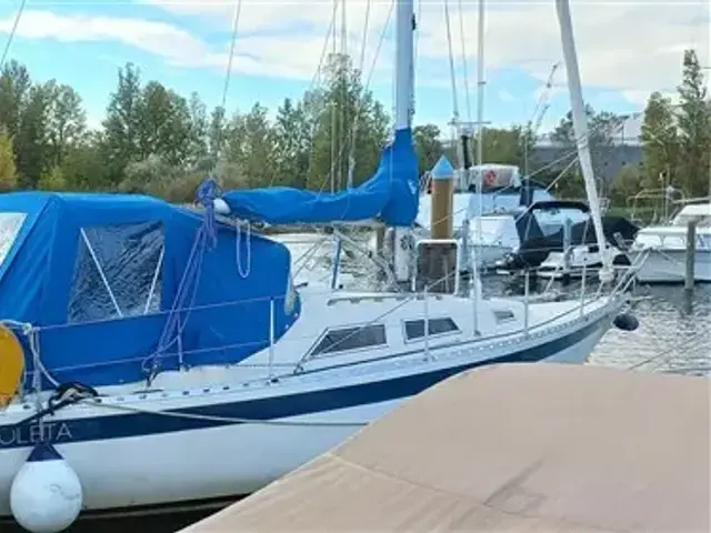 Yacht Center AB, Sweden Player 31