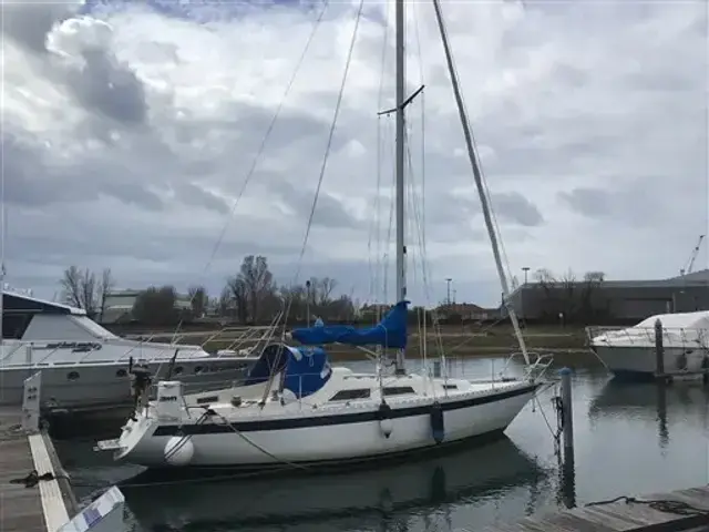 Yacht Center AB, Sweden Player 31